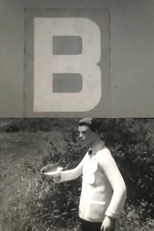 B (1969) poster