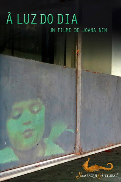 À Luz do Dia (2013) poster
