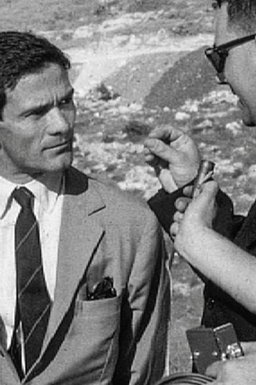 2 Pasolini (2021) poster