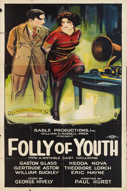 Folly of Youth (1925) poster