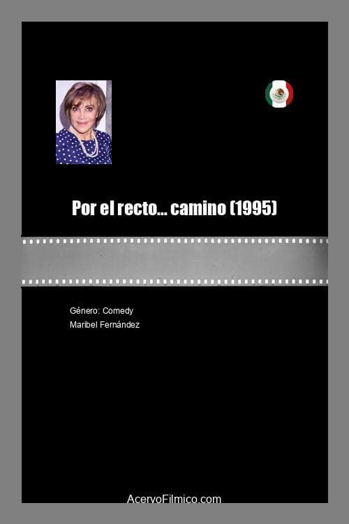 Por el recto... camino (1995) poster