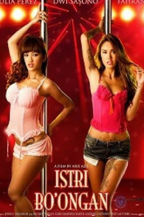 Istri Bo'ongan (2010) poster