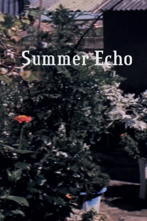 Summer Echo (2017) poster