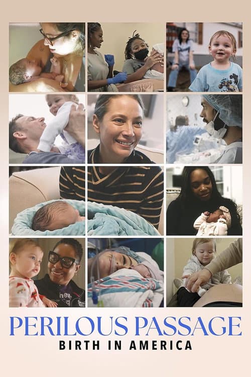 Perilous Passage: Birth in America (2026) poster