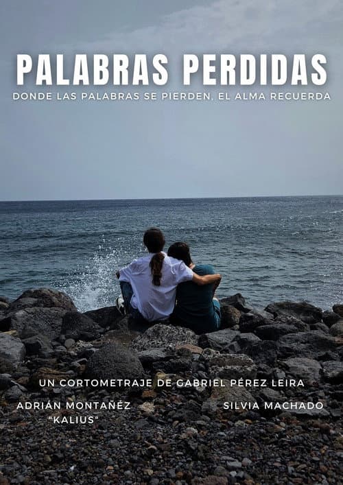 Palabras Perdidas (2026) poster