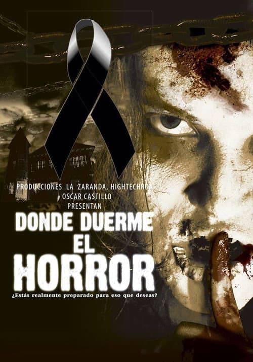 Donde duerme el Horror (2010) poster