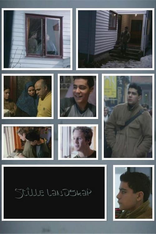Stille landskap (2003) poster