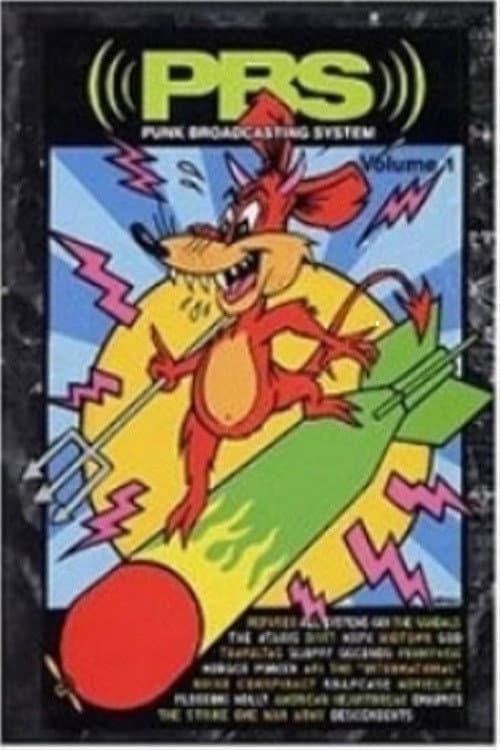PBS: Punk Broadcasting System (2001) poster