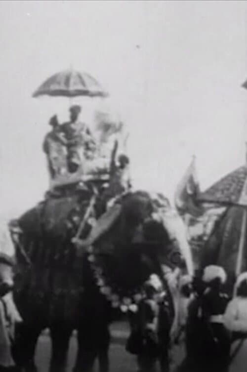 Procession of Elephants with Howdahs - India (1905) poster