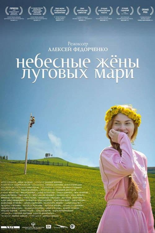 Небесные жены луговых мари (2013) poster
