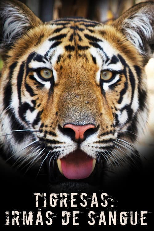 Tigress Blood (2014) poster