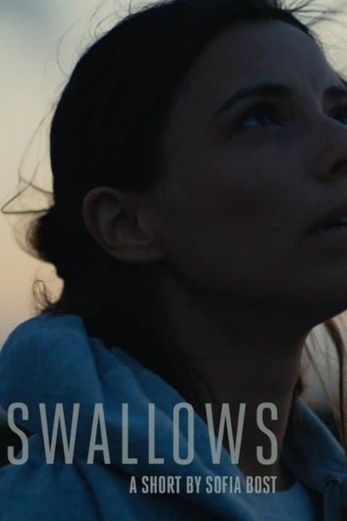 Andorinhas (2015) poster