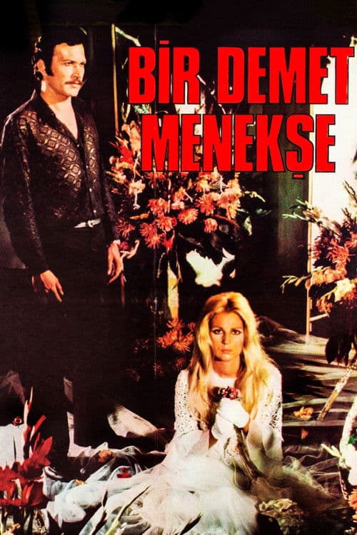 Bir Demet Menekşe (1973) poster