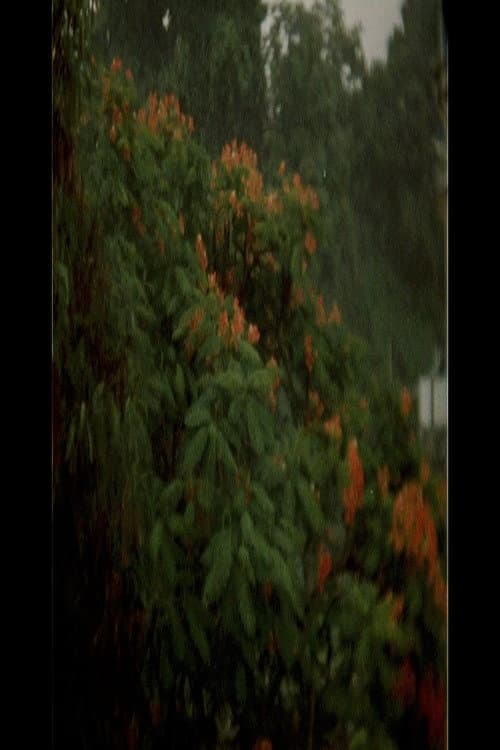 Une Forteresse (2018) poster