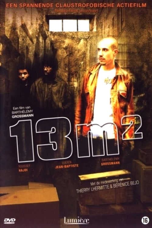 13 m² (2007) poster