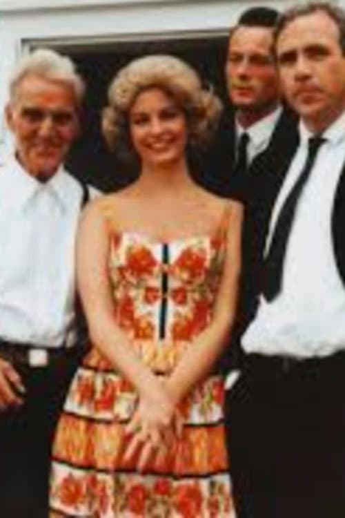 Søndagsmiddag (1991) poster