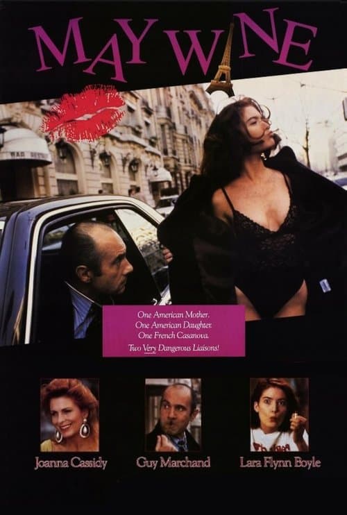 Les Belles Américaines (1990) poster