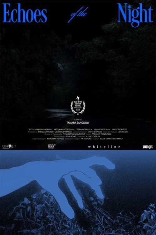 Echoes of the Night (2026) poster