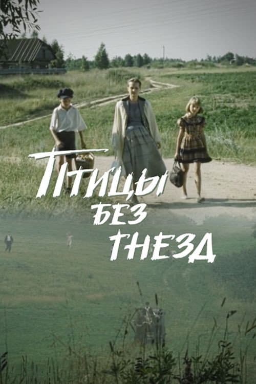 Птицы без гнезд (1996) poster