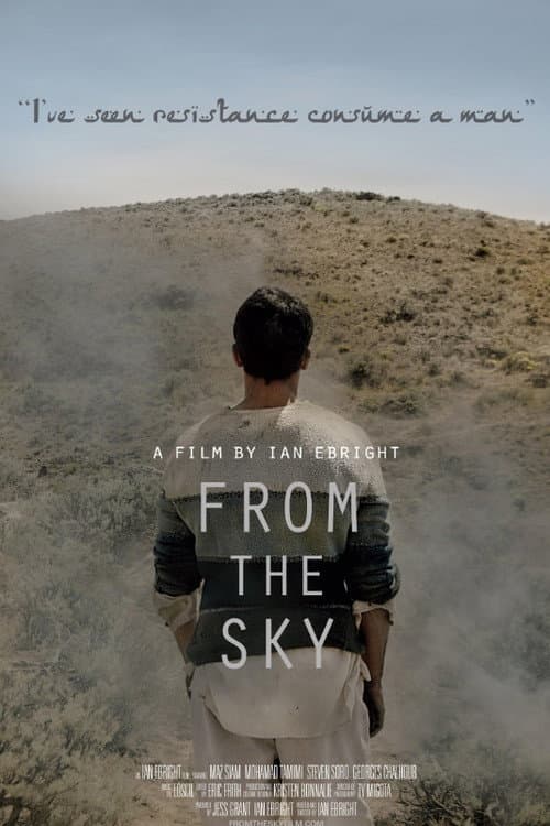 From the Sky (2014) poster