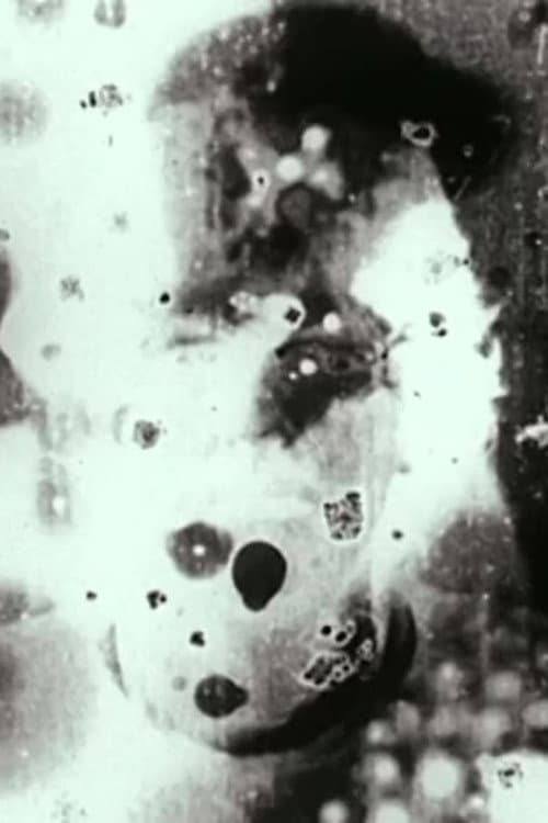 N°5 (1998) poster