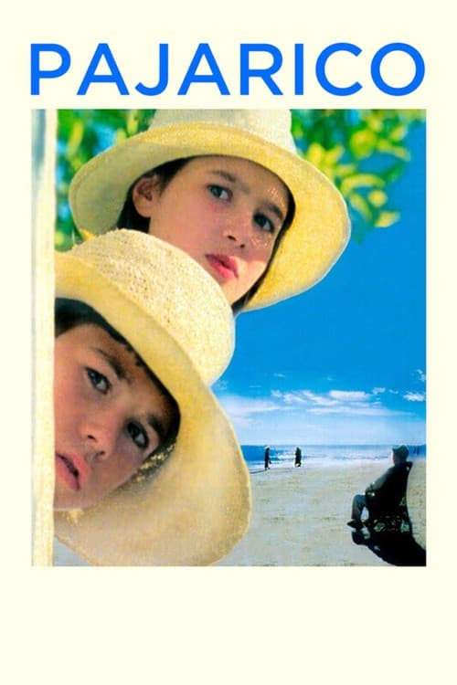 Pajarico (1997) poster