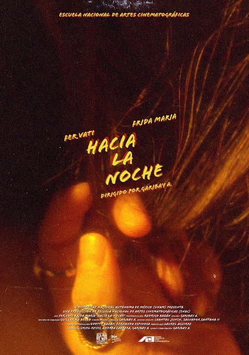 Hacia la noche (2023) poster