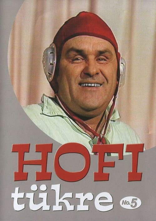 Hofi tükre No.5 (2006) poster