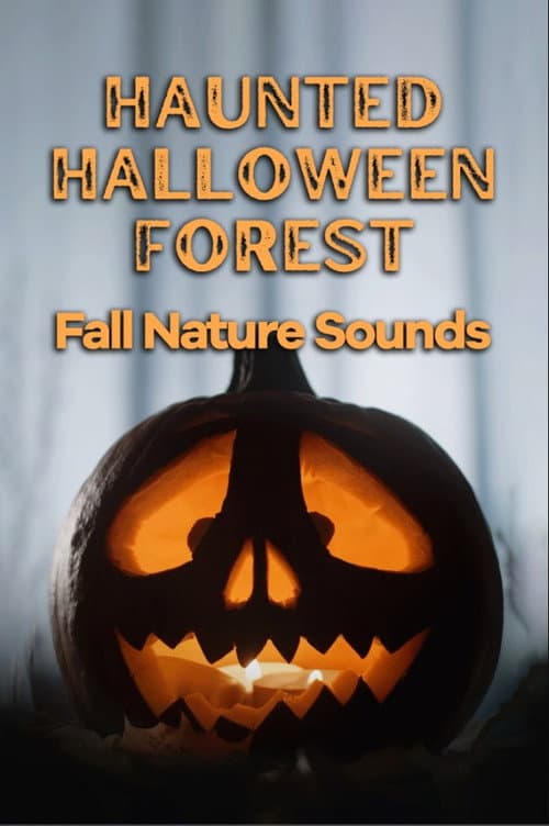 Haunted Halloween Forest: Fall Nature Sounds (2023) poster