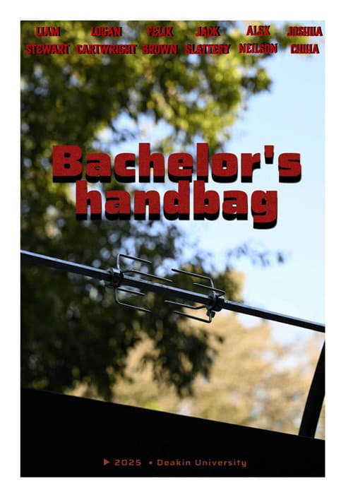 Bachelors Handbag (2025) poster