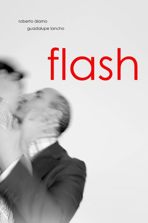 Flash (2014) poster