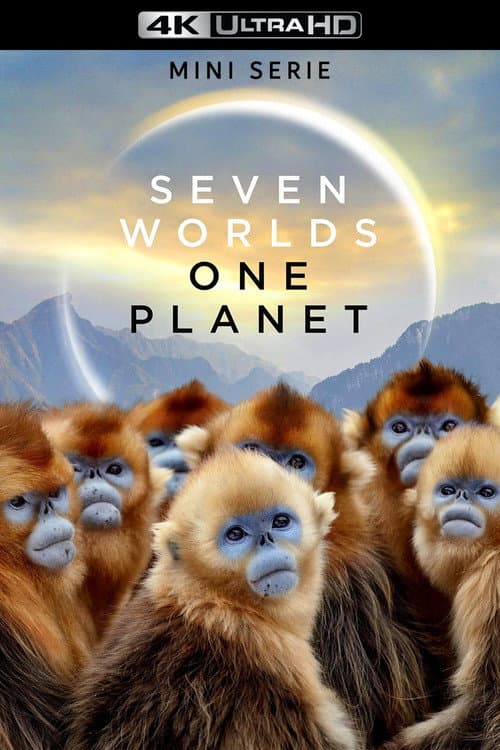 Seven Worlds, One Planet (2019) poster