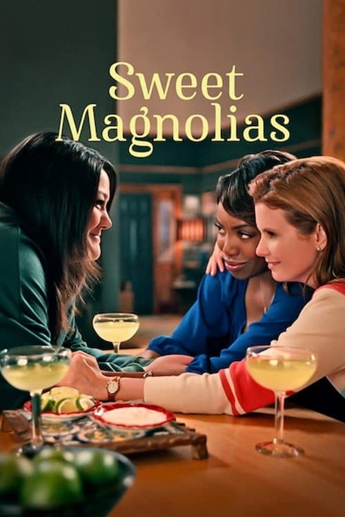 Sweet Magnolias (2020) poster