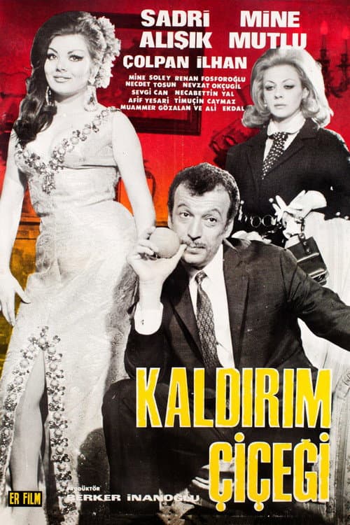 Kaldırım Çiçeği (1969) poster