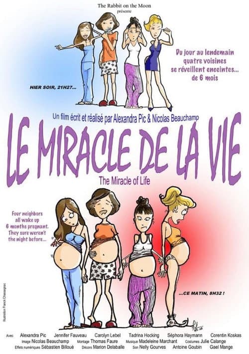 Le miracle de la vie (2010) poster