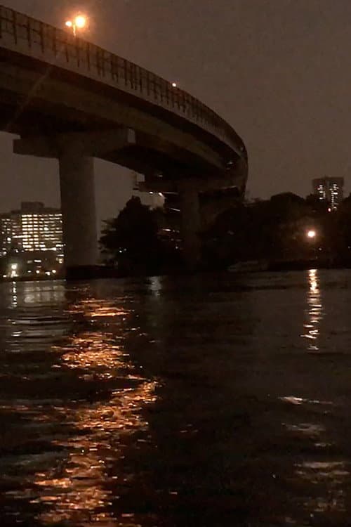 Night Cruise (2019) poster