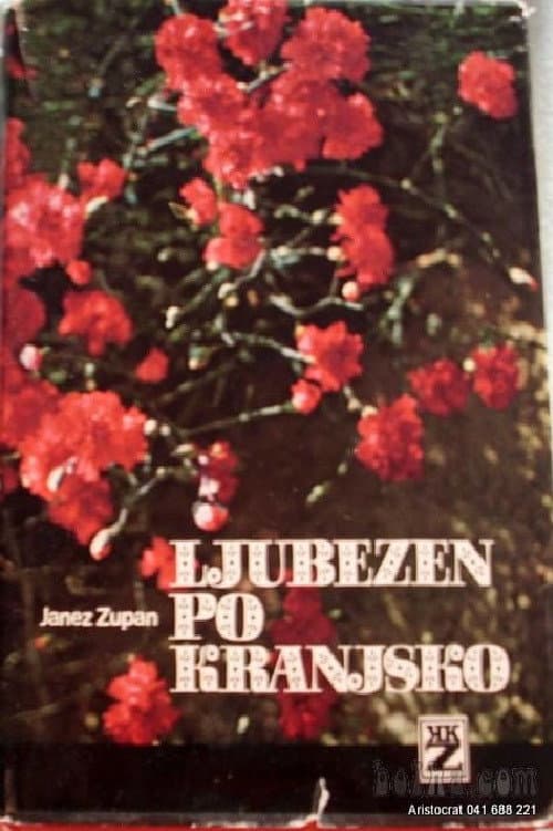 Ljubezen po kranjsko (1991) poster