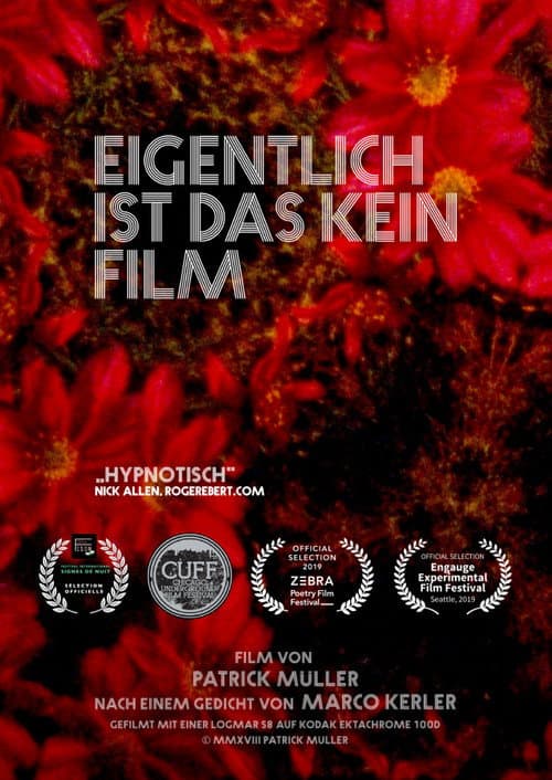 Eigentlich ist das kein Film (2019) poster