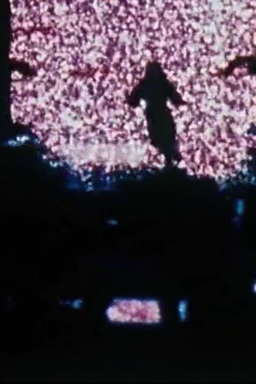 Lapse (1981) poster