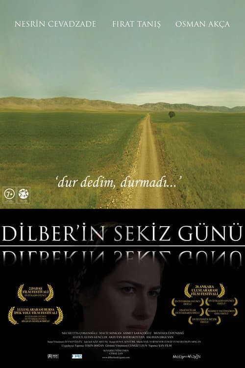 Dilber'in Sekiz Günü (2009) poster