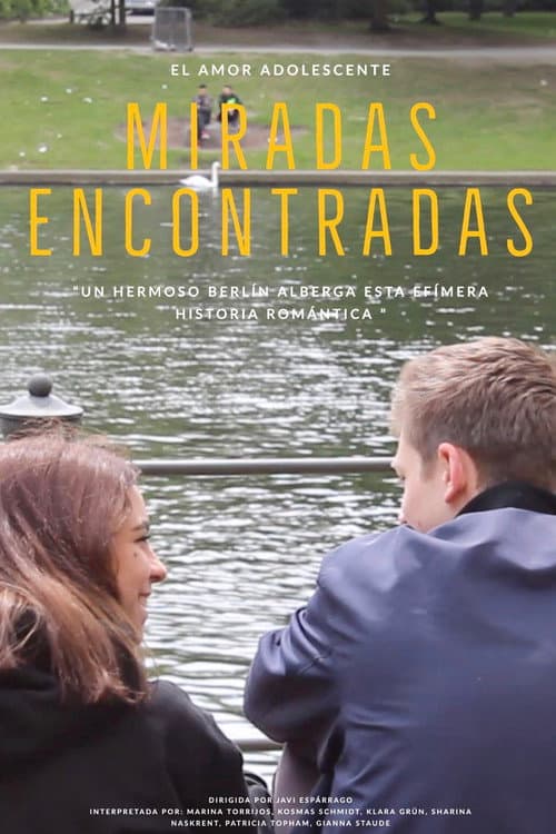 Miradas Encontradas (2017) poster