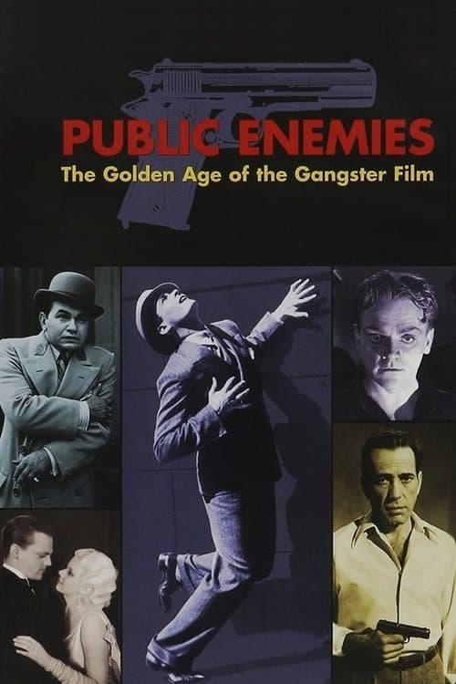 Public Enemies: The Golden Age of the Gangster Film (2008) poster