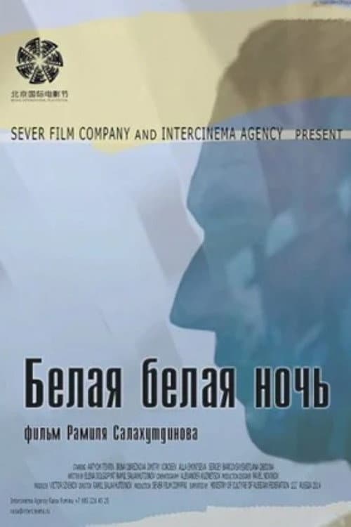 Белая белая ночь (2014) poster