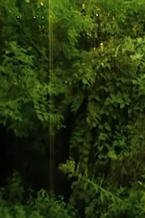 I love the sound cicadas make. (2023) poster