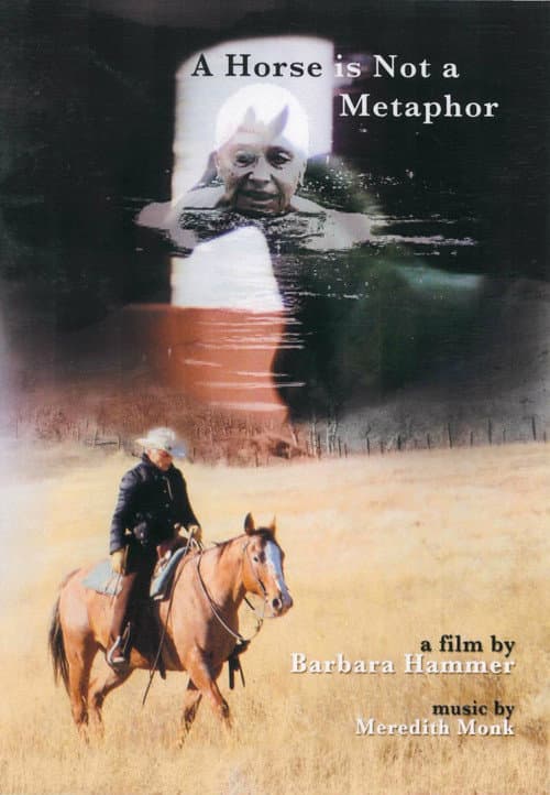 A Horse Is Not a Metaphor (2009) poster
