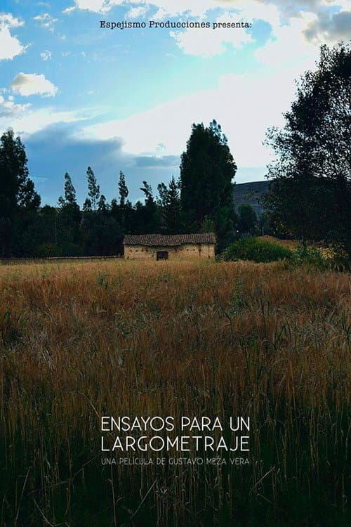 Ensayos para un largometraje (2015) poster