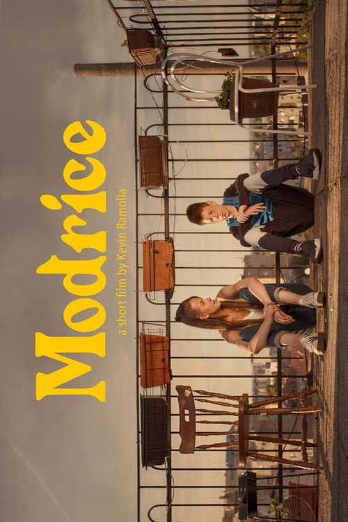Modrice (2021) poster