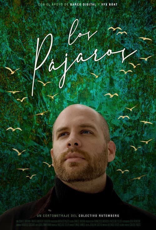 Los pájaros (2021) poster