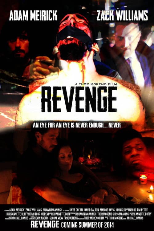 Revenge: A Love Story (2014) poster