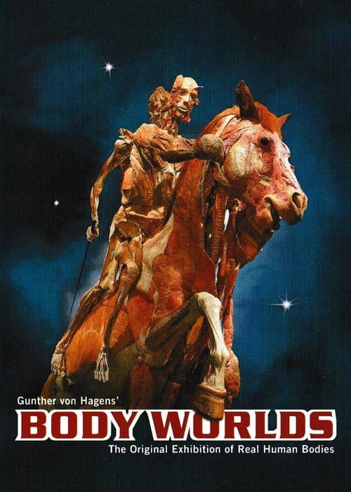 Körperwelten (1999) poster
